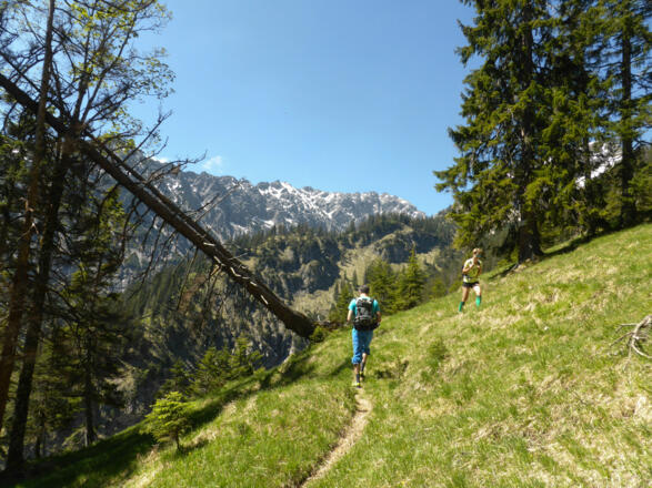Weg zum Kuchelbergkopf