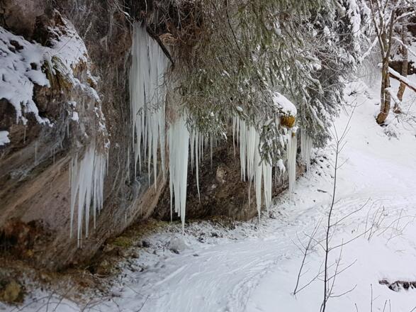 Eiszapfen am Wegesrand