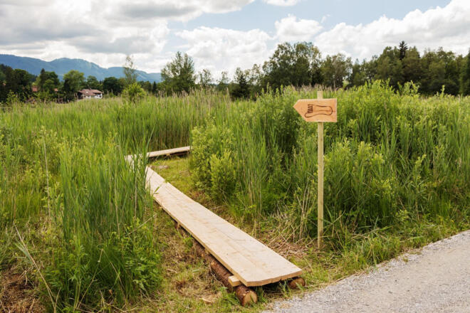 Themenweg - Barfußpfad - Soier See