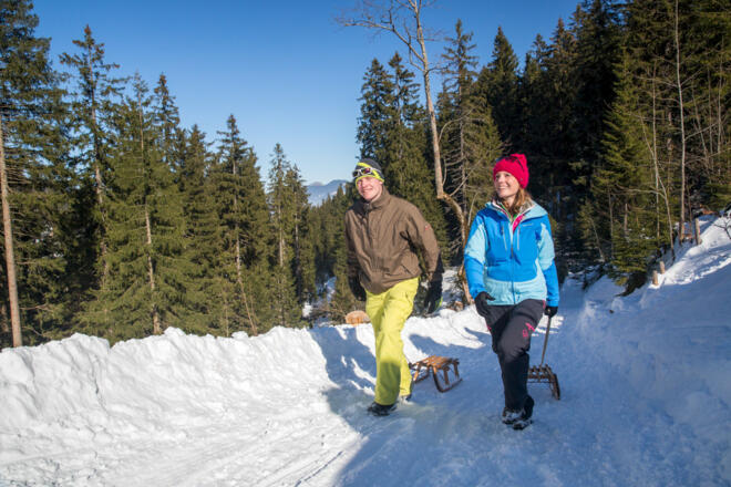 Rodelbahn am Pürschling