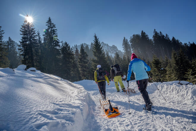 Rodelbahn am Pürschling
