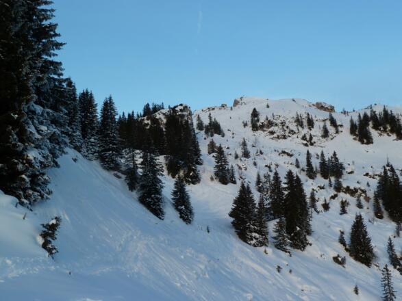 &quot;Lawinenstrich&quot; unterhalb des Sonnenbergrats