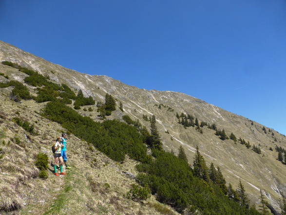 Weg zum Kuchelbergkopf