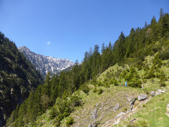 Weg zum Kuchelbergkopf