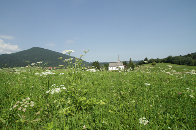 Wanderung - Hörnle-Alm