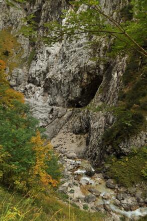 Hier kreuzt der Weg den Hammersbach auf den Stangensteig
