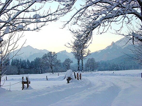 Winterwanderung Sonnenweg - Graswangtal