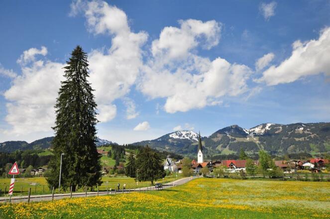 Fischen im Allgäu vor der Hörnerkette