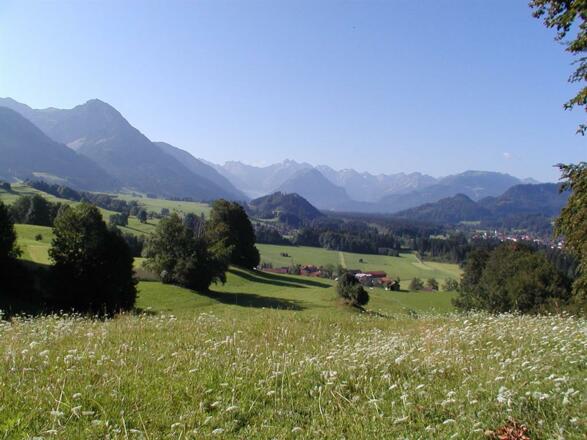 Frühsommer in Au-Thalhofen