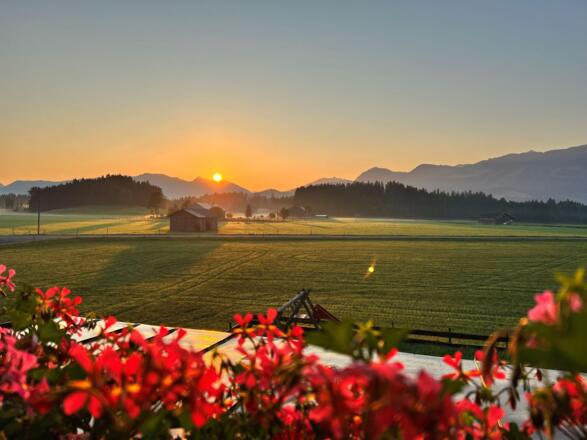 Blick nach Osten
