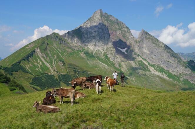 Eissee - Höfats - 0301 - 01