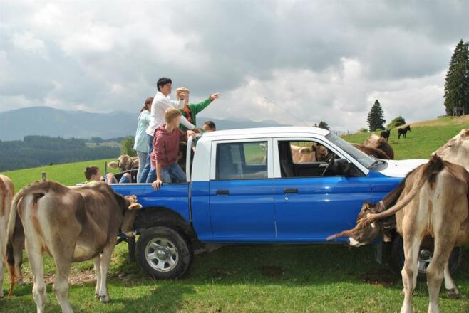 Besuch auf unserer Alpe