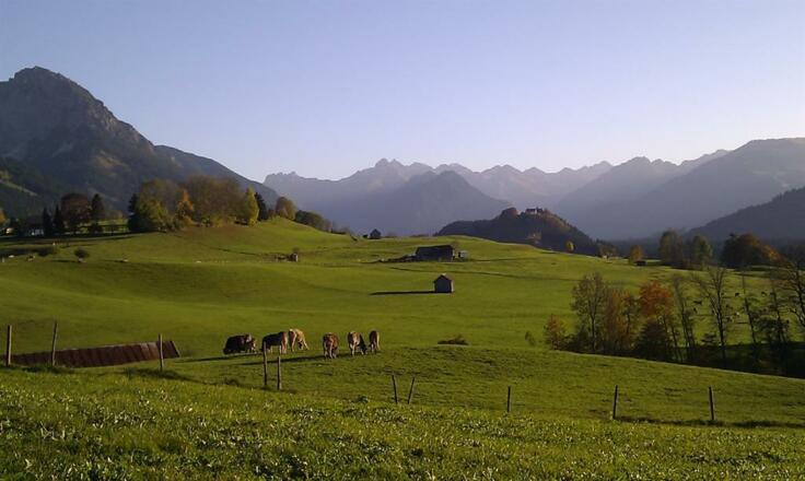 Umgebung
