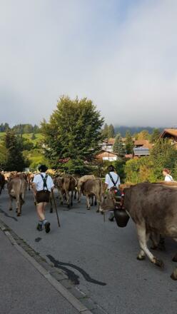 Viehscheid
