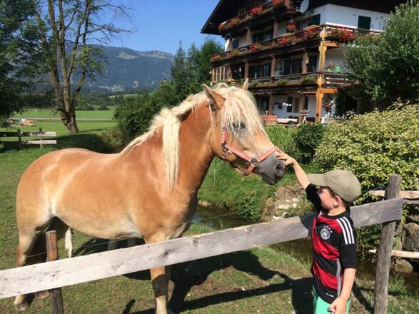 Gastkind Paul mit Nino
