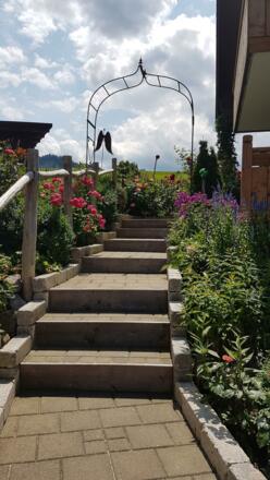 Rund ums Haus