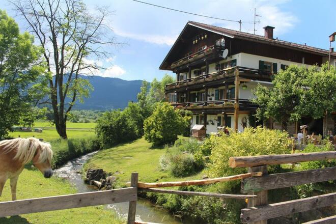 Nino allein zu Haus