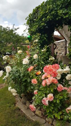 Rund ums Haus