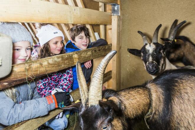 Frieda, Svenja und Jona