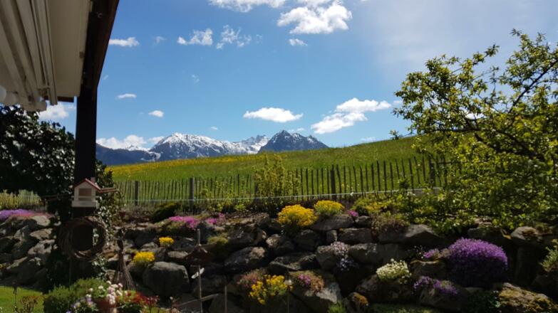 Frühling