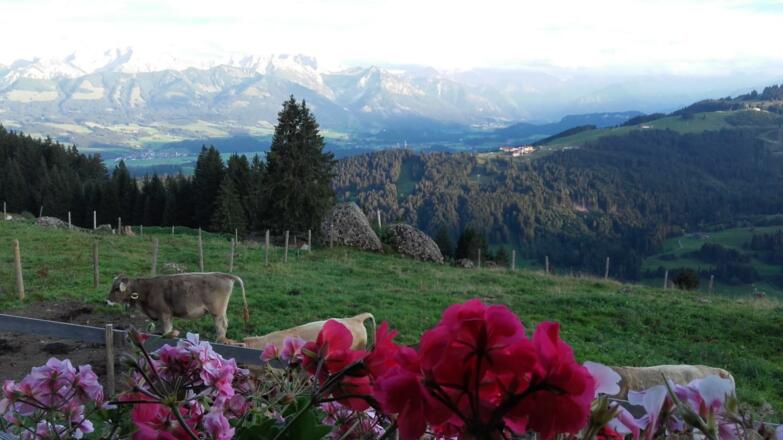 Bergpanorama