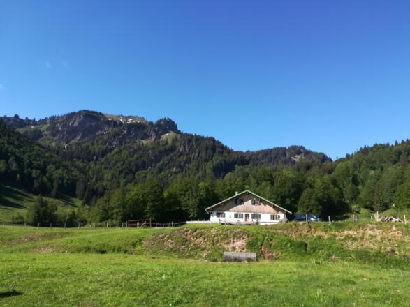 Unsere Alpe