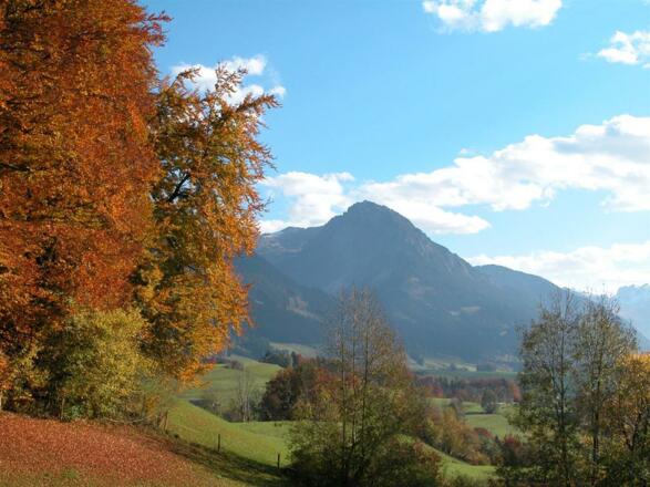 Blick aufs Rubihorn