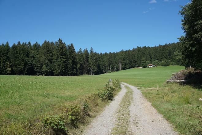 Wiesenabschnitt nach Rettenbach