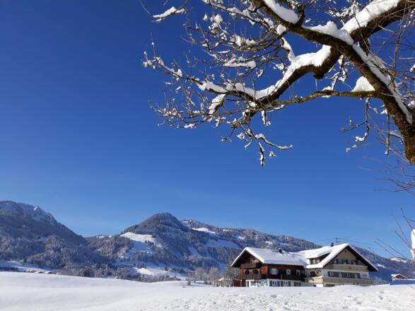 Winterblick