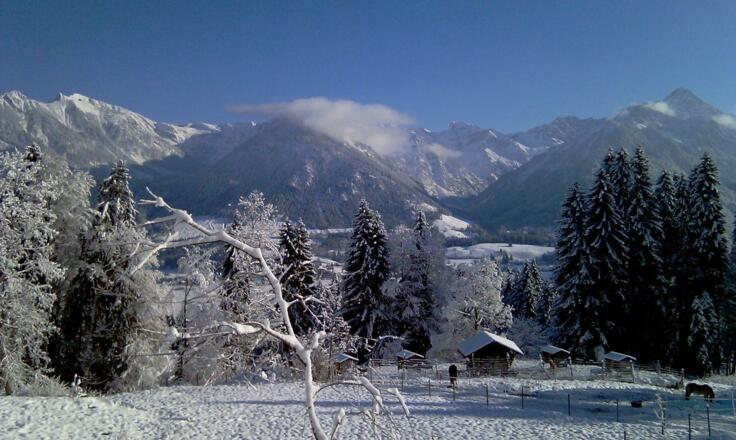 Ausblick Hochalpen