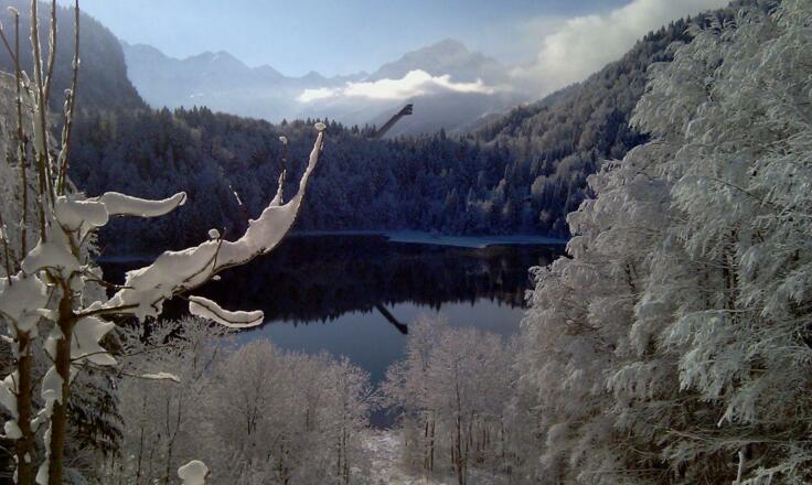 Winterwandern