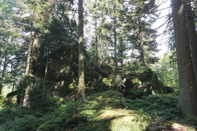 Riedberg-Gipfelfelsen