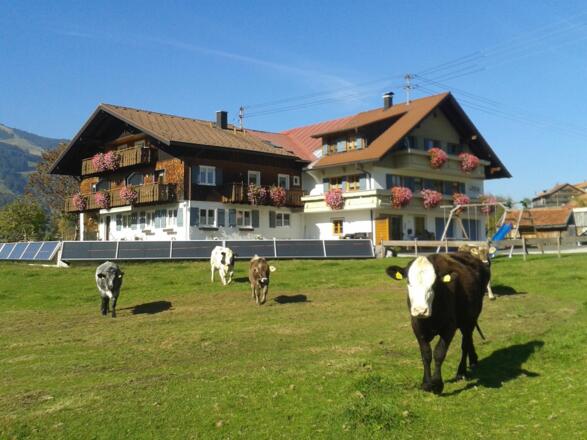 Alpen-Glühen 1