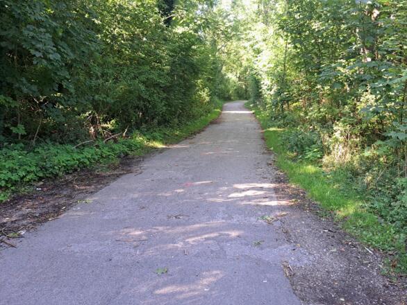 Asphaltierte Weg in den Olchinger Amperauen