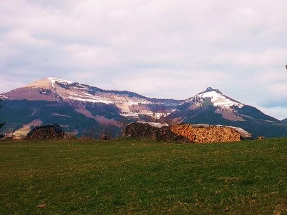 Ausblick (3)