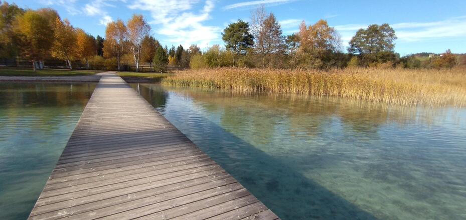 Fuschlsee