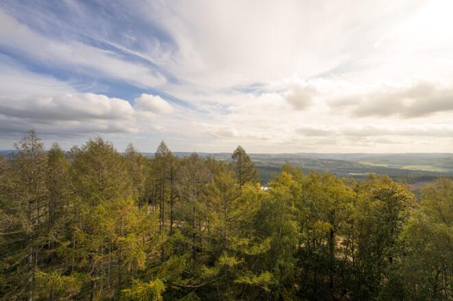 Ausblick Pfannenbergturm Siegen/Neunkirchen