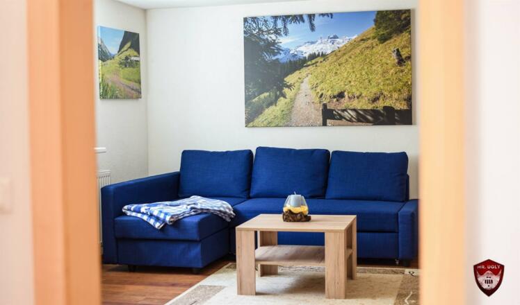 gemütliches Wohnzimmer mit Schlafsofa