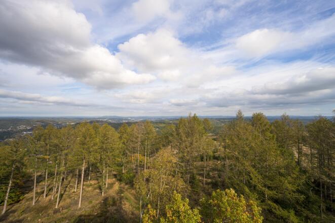 Ausblick Pfannenbergturm Siegen/Neunkirchen