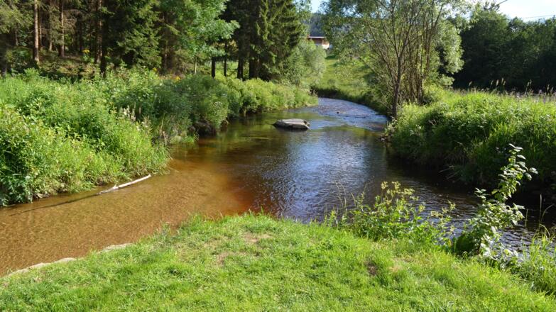 Weitersfelden, Zwischenstromwiese