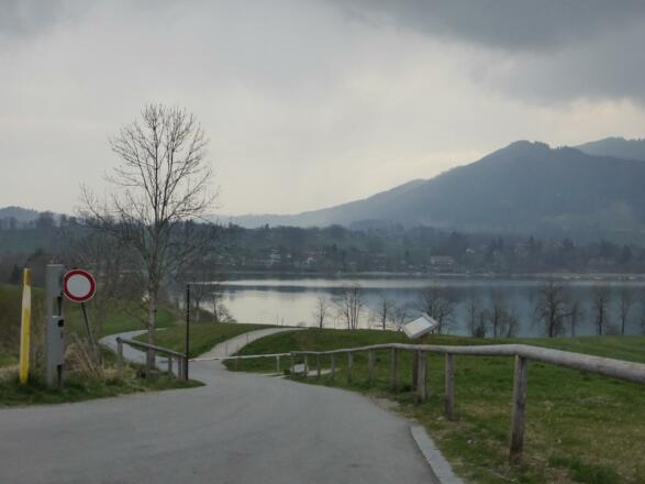 Beim Gut Kaltenbrunn, der Weg links runter durch die Schranke. Vorsicht, Querrillen Kippgefahr, ab Schranke Schotter steil runter.