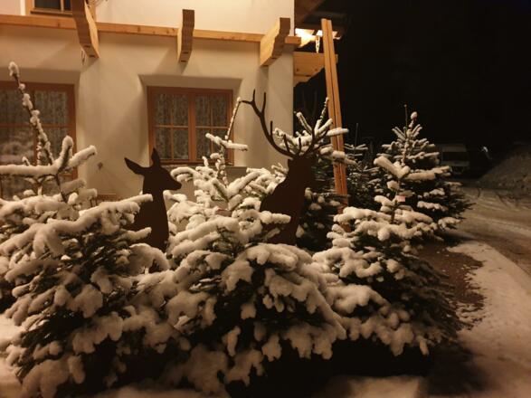 Christbäume