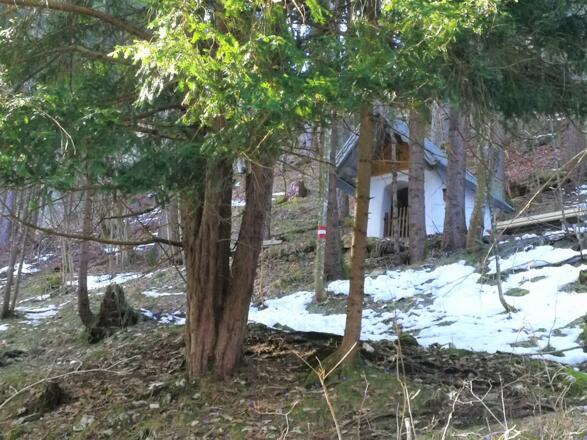 Versteckt im Walde