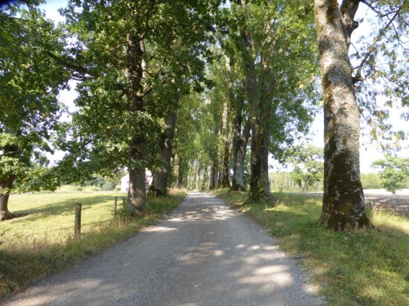 Baumallee nach Ettenhofen, Vorderrad dreht durch