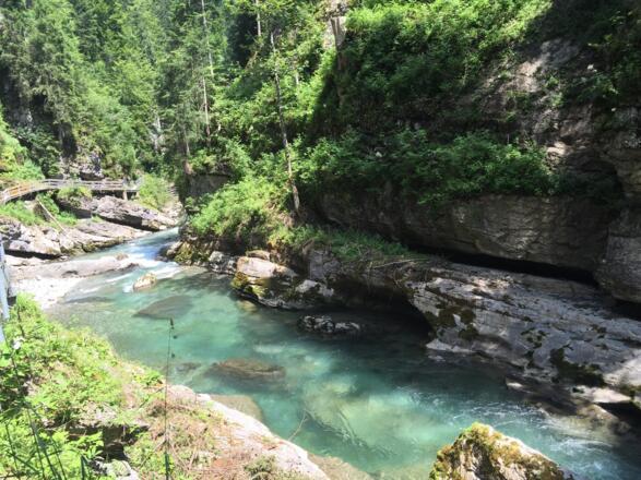 Grün schimmernde Breitach