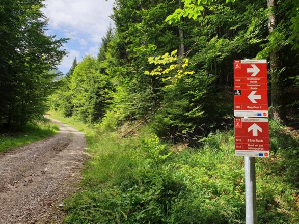 Abzweigung Lueg Richtung Wadlbeisser