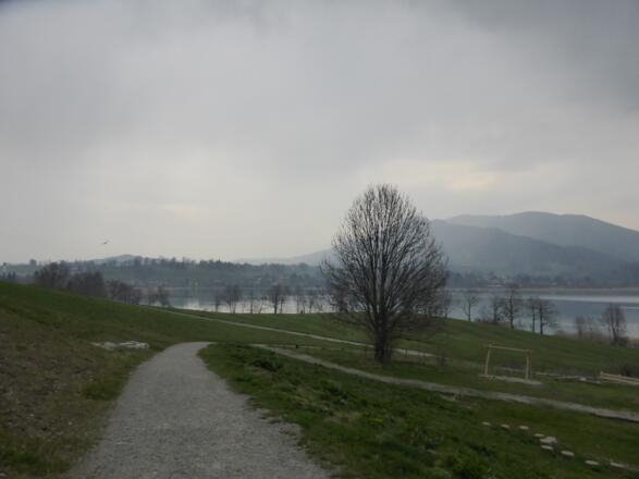 Steigung mit Handbike schwierig