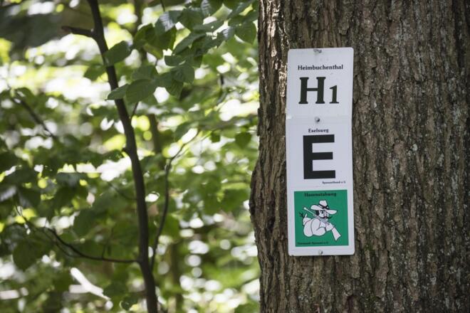 Markierungszeichen beim Echterspfahl