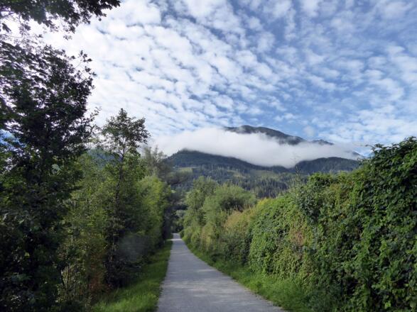 Da vorne zweigt der Weg zur Liechtensteinklamm über die Salzach nach links ab.