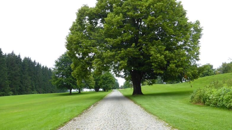 Golfplatz Richtung Margarethenhof, steil Kopfsteinpflaster, hier musste ich geschoben werden.